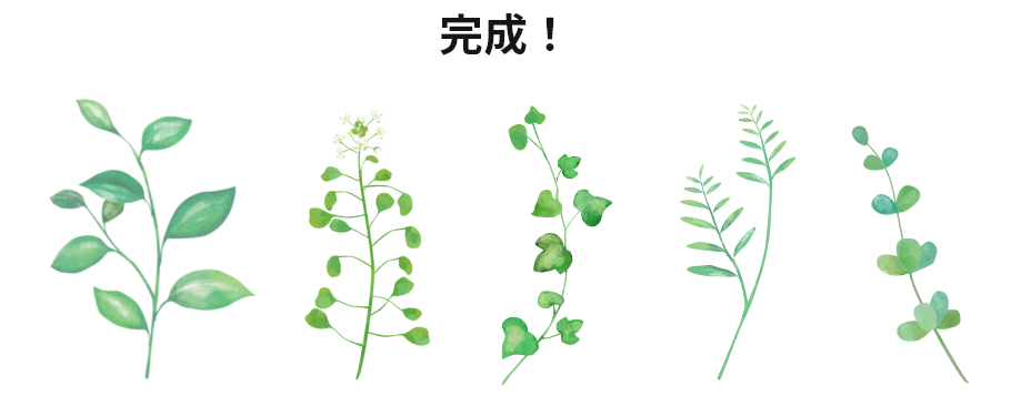 フォトショ イラレで簡単にできる 水彩風 植物イラストの描き方 At Strix